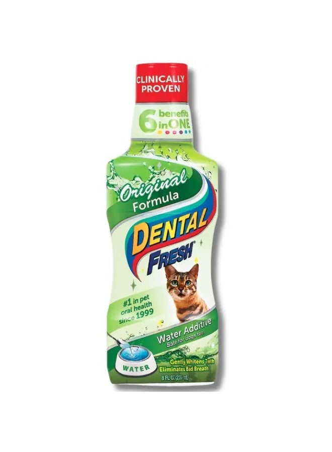 Synergy Labs Dental Fresh Original Formula For Cats 237ml - Image 1